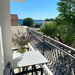 Dalmatino
