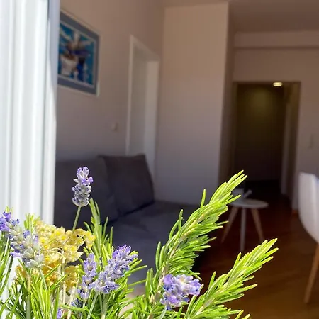 Апартаменты Dalmatino Водице