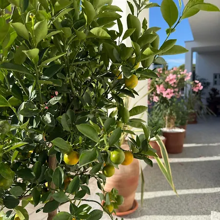 & Dalmatino Lägenhet Vodice