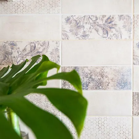 Dalmatino * Водице