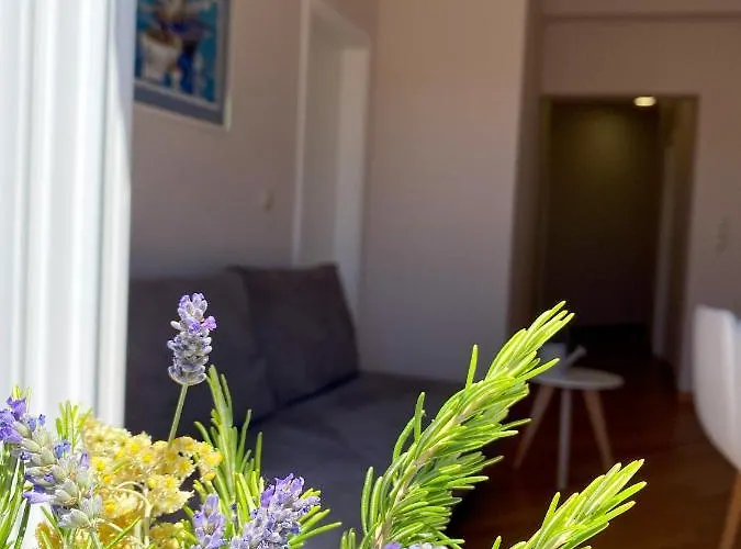 Apartamento Dalmatino Vodice