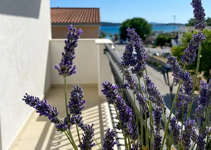 Apartamento Dalmatino Vodice